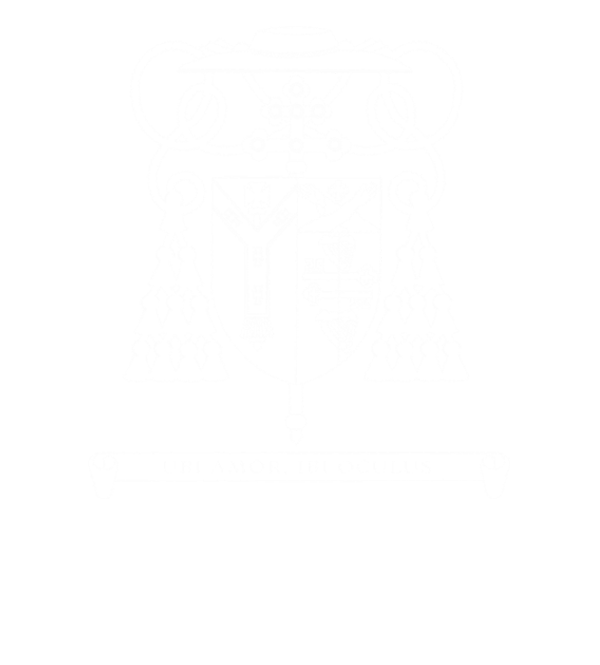 St John's College Cardiff Logo