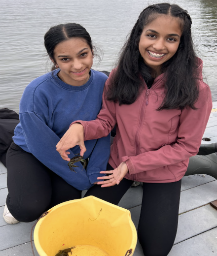 AS Level Biology Field Trip to Dale Fort